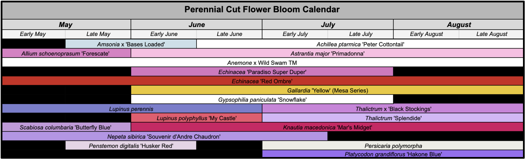 For example, Allium ‘Forescate’ blooms a deep ping in May while Gallardia ‘Yellow’ blooms yellow June through August. 